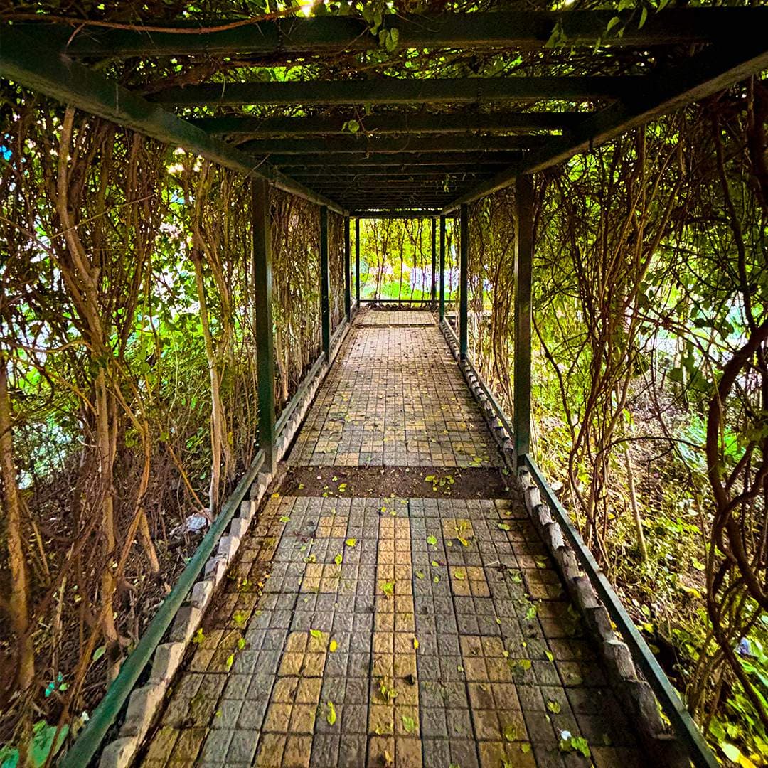 Maze image 5